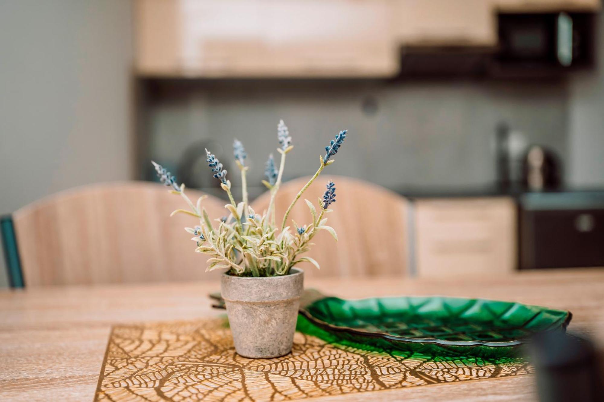 Apartamenty Majer Łeba Dış mekan fotoğraf